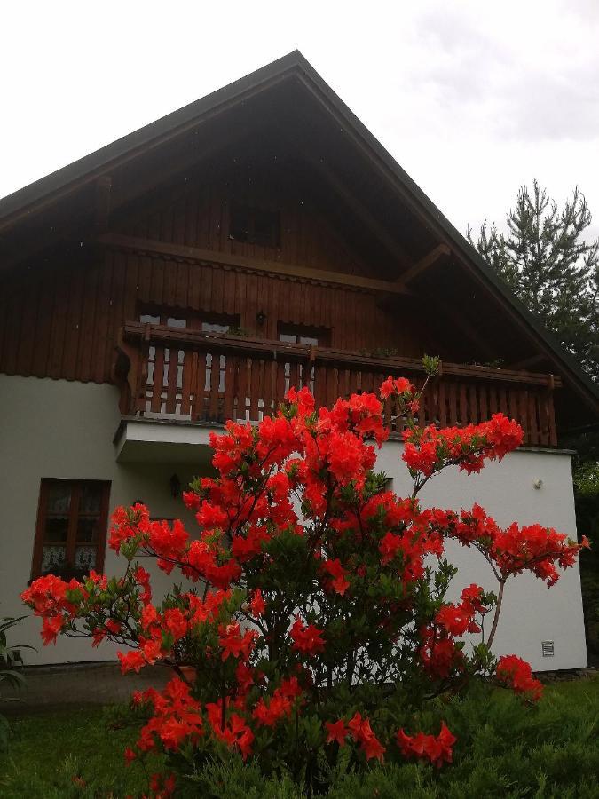 Apartmány 670 Rokytnice nad Jizerou Kültér fotó